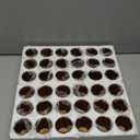 36pcs Amber Votive Candle Holders Thanksgiving Table Decor, Glass Small Tea Lights Candle Holders for Table Centerpiece for Home Decor Party Fall Boho Decor(36,Amber)