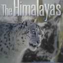 Nature: The Himalayas