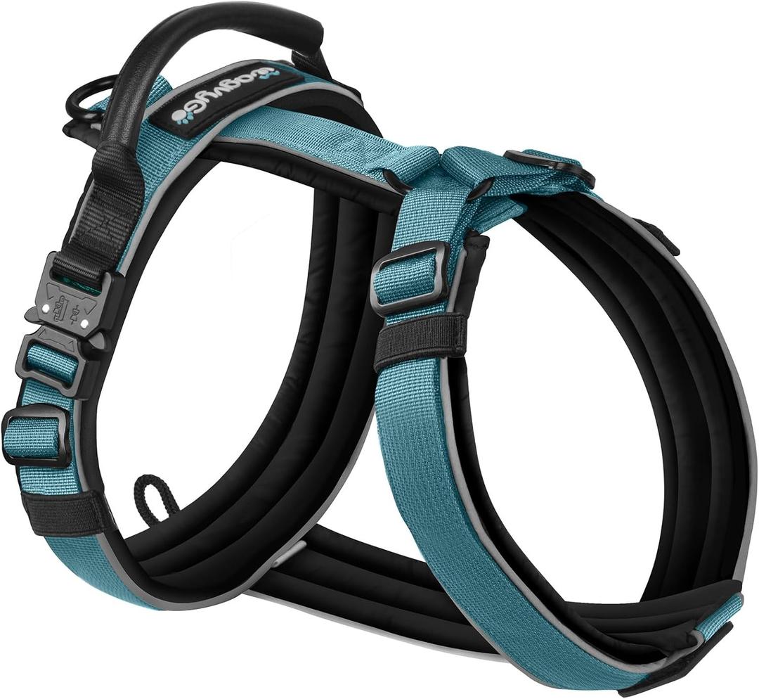 Premium Y-Shaped Dog Harness for Training & Daily Walk,No-Pull Adventure Harness with Handle & 3 Leash Hook Points,Durable Nylon (SteelBlue)