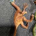 5 Pcs Dinosaur Figurines for Kids, Plastic Animal Toys Tiny Portable Dinosaur Figures Playset Montessori Toy Educational Game for Homeschool Preschool Toddler Kids