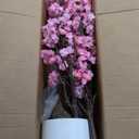 Artificial Cherry Blossom Tree, 7FT Tall Artificial Tree with White Pot, Pink Fake Sakura Flower Tree, Faux Silk Plants for Home, Living Room, Wedding, Garden, Balcony, Hotel Decoration