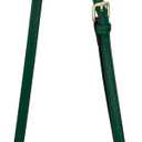 Allzedream Leather Purse Strap Replacement Crossbody Handbag Long Adjustable (Green)