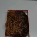 GORGIUS Veralux Blend Shaggy Haircuts Ombre Curly Wig with Bangs Honey Colored Wig Crafted with Style-Archive Technology: Premium Fiber & Remy Human Hair Blended, Realistic Look with True Scalp