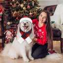 Coume Christmas Antler Check Dog Hat and Scarf Set Winter Red and Black Buffalo Plaid Pets Hats with Earmuffs Adjustable Xmas Festive Party Pet Dress up Costume Accessories(L)