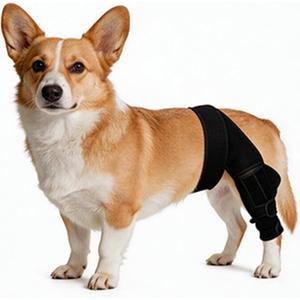 Dog Knee Brace for Leg, Adjustable Dog Braces for Torn ACL Support, Built in Side Stabilizers, Breathable Dogs Hip Brace for Arthritis Relief, Joint Stability and Post Surgery Recovery Small
