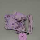 Petmolico Dog Harness for  Dogs, Cute Harness Vest with Two Leash Clips and Soft Handle, Reflective Easy Walk Puppy Vest - Light Purple, Small