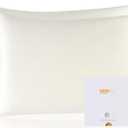 ZIMASILK 100% Pure Mulberry Silk Pillowcase 2 Pack, Soft and Smooth,Both Sides Premium Grade 6A Silk,600 Thread Count,with Hidden Zipper (Queen 20''x30'',Ivory)