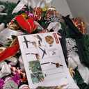 6.5 FT Prelit Pop Up Christmas Tree with 220 Warm White & Multicolor Lights 8 Modes & Timer Fully Decorated 103 Ornaments, Collapsible Pull Up Christmas Tree with Lights for Indoor Home Party Decor