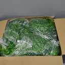 XunYee 28 Pcs Artificial Hanging Plants 32 Inch Plastic Fern Vine Fake Greenery Plant Faux Eucalyptus Vine for Wall Room Wedding Indoor Outdoor Decor, No Baskets (Boston Fern)