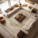 10x14 Area Rugs for Living Room, Washable Boho Non-Slip Vintage Distress Large Rugs for Bedroom Dining Room Office, 0.3" Neutral Oriental Throw Thin Carpet, Brown/Multi
