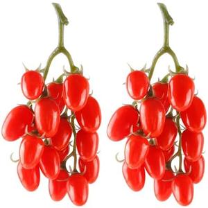 Artificial Tomato String, 2 Pack Simulation Artificial Lifelike Fake Fruits Vegetable Photography Props Home Kitchen Harvest Decoration (Red Tomato, 2pcs)