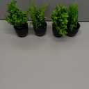 Der Rose Fake Plants 4 Packs Artificial Plants Small Faux Plants Black Bathroom Accessories for Halloween Bathroom Home Kitchen Coffee Table Office Desk Decor Indoor