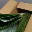 Cat Scratching Post 35'' Tall Cat Scratcher Tree Tower Scratching Posts for Indoor Cats with Cat Toy Mouse Hole and Interactive Wooden Ball for Kittens Adults Cats