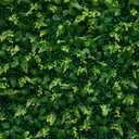 Artificial Flower Wall 8x8ft Green Grass Backdrop for Wedding, Baby Shower, Party, Birthday & Home Decor, Easy & Quick Assembly (Greenery)