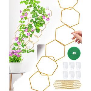18 Pcs Chain Trellis for Climbing Plants, Potted Houseplant Accessories for Hoya, Ivy, Monstera, 6-Corner DIY Wall Trellis Plant Support with Hooks and Ties Indoor Outdoor(Gold)