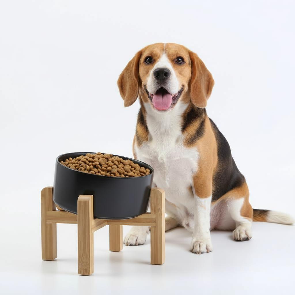 Petygooing Black Elevated/Raised 15Slanted Ceramic Dog Bowl for Small and Medium Breeds, Tilted Anti Slip Pet Feeding Bowl,Food Water Dish with Stand for Cats and Dogs (28 OZ/3.6 Cups)