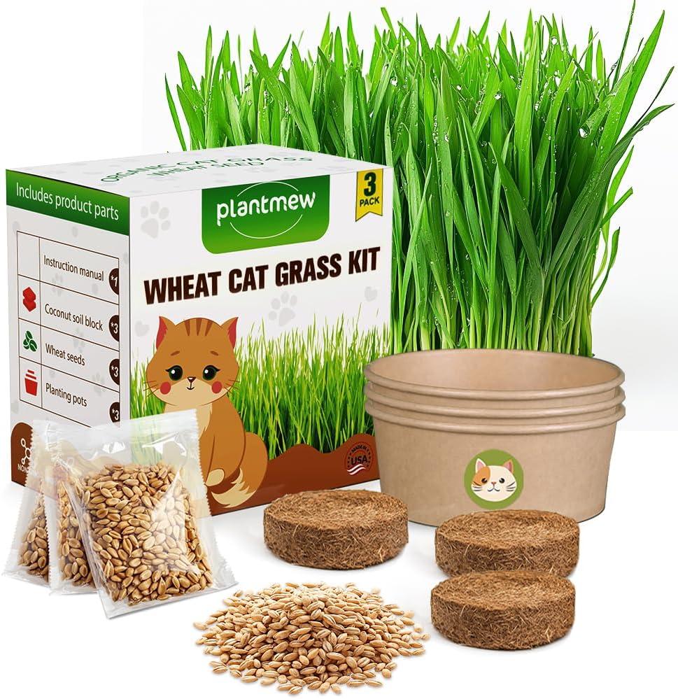 Cat Grass Kit for Indoor Cats, 3 Pack Fast Growing Cat Grass Kit with Eco-Friendly Biodegradable Pots, Soil & Organic Wheatgrass Seeds, Grows in 3-7 Days with High Germination Rate