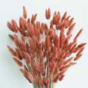 120 PCS Rust Orange Dried Pampas Grass Decor, 17-inch Pompas Floral, Dry Flowers for Decoration, Pampas Grass in all, Bunny Tails Dried Flowers for Boho Wedding Decor