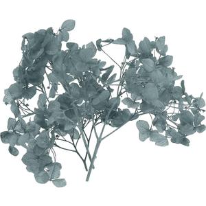 PATIKIL Dried Hydrangea Flower, 10g Natural Pressed Flowers Real Hydrangeas Petals for DIY Resin Crafts Card Floral Gift Candle Making Decor (Grey)