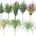 8 PCS Artificial Succulents Plants Lifelike Air Plants Floral Tree Arrangement Assorted Faux Greenery Artificial Plants Set Garden Home Office DIY Decoration Ornament