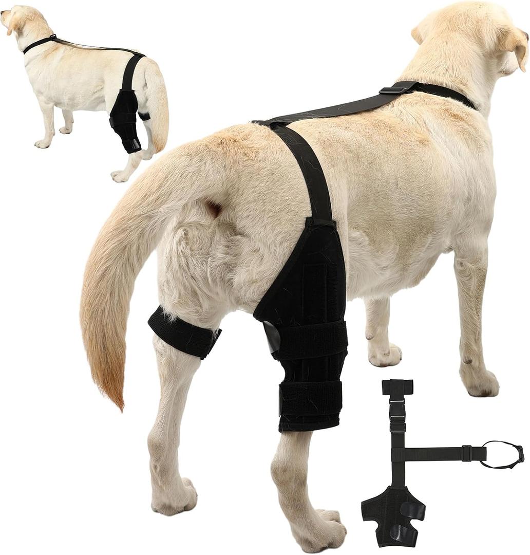 Dog Knee Brace Dog ACL Brace Hind Leg Dog ACL Knee Brace with Extra Collar and Support Treats Kneecap Dislocation Arthritis (Black, M)
