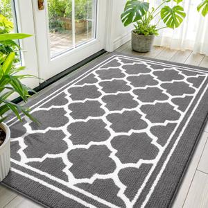 Buganda Large Indoor Door Mat, Dirt-Resistant and Absorbent Doormat, Washable, Low Profile Floor Mats for Inside Entryway, Front, and Back Door Entrance (59x35 Inches, Grey)