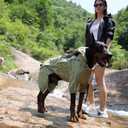 LOVELONGLONG Fleece-Lined Dog Raincoat with Removable Hood Waterproof Winter Full Body Dog Jacket Windproof Snowproof Cold-Weather Suit Green-F 3XL