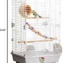 Basic Bird Cage, 24.8inch Parrot Cage (24.8" x 14.6" x 11"),Bird Cage with Ladder, Horizontal Bar, 2 Feeders, and Swing