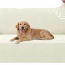 Stretch Sofa Cover Non-Slip Washable Furniture Protector | Stretch, 71"-91".Soft, Non Skid Foam, Elastic Bottom, Machine Washable, for Kids & Pets, Couch & Sofa, Beige Yellow