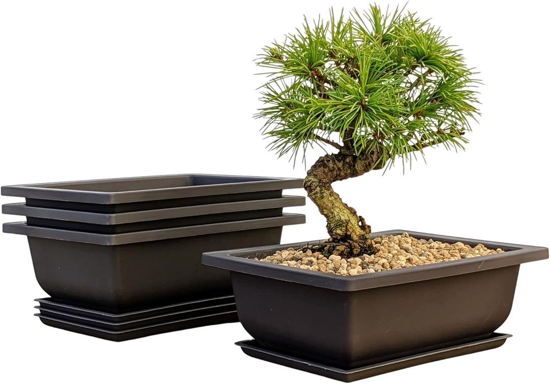 Bonsai Outlet Training Pots with Humidity Trays - Built in Mesh, Six Inch Large Planters + Made from Durable Shatter Proof Poly-Resin, Set of 3 Pot Set