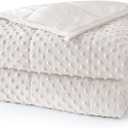 Weighted Blanket for Adults Twin Size 15 lbs, Soft Cooling Minky Dot Heavy Breathable Blanket for All-Season, Washable Weighted Throw with Glass Beads, 60 x 80 Inches, Cream