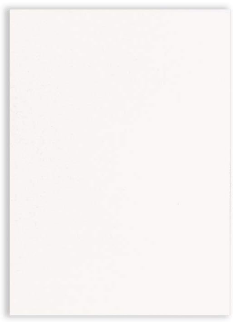 GardenCity Bridal Shower Bingo, Bridal Shower Game for 50 Guests, 50 Cards, Minimalist