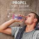 Propel Electrolyte Enhanced Water Sports Drink, Grape Flavored Water, Zero Calorie & Zero Sugar Hydration with Electrolytes and Vitamins C & E, 16.9 fl oz Bottles (12 Pack) (EXP 05/18/26)