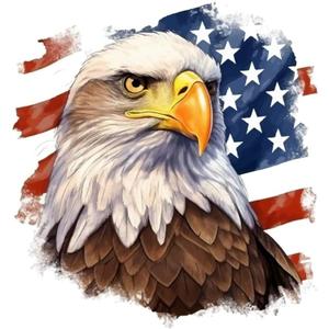 2Pack American Flag Eagle Bumper Vinyl Decal 4.72"x5.12", Patriotic Sticker for Car, Truck, SUV, Window, Laptop - Waterproof & Durable Car Decal Sticker |#AZ103
