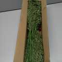 4Pcs Artificial Greens Branches for Vase, 27" Faux Twigs Tree Stems, Fake Plants Tree Branches for Home Decor, Fake Ficus Twigs for Office Wedding Shop Vase Fillers Banquet Decoration