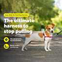 PetSafe Easy Walk No-Pull Dog Harness - Ultimate Harness to Help Stop Pulling - Pull-Free Walks - Take Control & Teach Better Leash Manners - Patented Martingale Loop Design - Raspberry, Small
