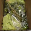 Mkono Peonies Artificial Flowers, 2 Packs 13 Stems Faux Peony Flowers Real Touch Fake Silk Bouquet for Arrangements Dining Table Centerpieces for Kitchen Bridal Wedding Party (2, New Green)