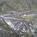 9 ft Christmas Garland, Cedar Garland, Real Touch Cypress Garlands, Green Artificial Greenery Garland for Mantel Indoor Outdoor Christmas Decorations