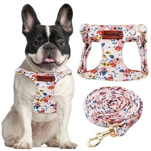 OaaXbbECco No Pull Floral Pattern Puppy Harness,Soft Adjustable Dog Harness Vest and Dog Leash Set No Choke Escape Proof (Orange Rose, S)