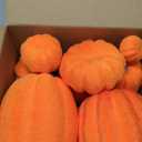 Ywlake Flocked Artificial Pumpkins Fall Decorations, Fake Pumpkin for Autumn Harvest Halloween Thanksgiving Faux Pumpkins Home Table Decor (8 Pcs, White)