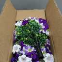 2pcs Artificial Topiary Ball with Petunia Flowers,Purple White
14in UV Resistant Greenery Eucalyptus Fake Plant Shrub Bushes with Ground Spike for Outdoor Indoor Planter Porch Garden