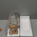 19" Gold Outdoor Wall Lantern 2-Light, Large Modern Wall Sconce Light Fixture, Industrial Porch Light with Glass, Waterproof Farmhouse Exterior Lamp (1 Pack) (19 Inch Ordinary)