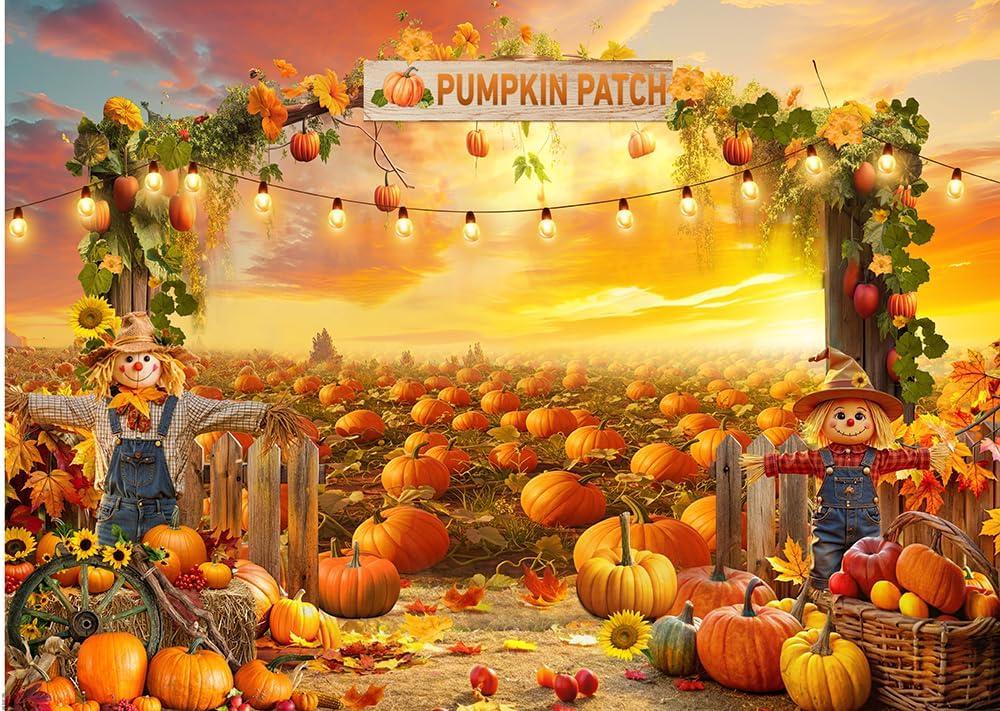 CYLYH 8X6FT Fall Backdrop Photography Pumpkin Patch Backdrops Autumn Harvest Backgroud Rural Scenery Back Drop Thanksgiving Party Banner Photo Booth Props D910