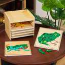 Premium Montessori Animal Puzzle Cabinet with 6 Puzzles 15" Horse Fish Turtle Bird Frog Ant– Wooden Zoology Biology Materials for Kids, Educational Toys for Kids Toddler Classroom Homeschool Learning, 15.4" L x 11" W x 9.8" H