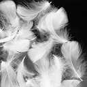 White 600pcs Colorful Feathers 20 Colors Craft Feathers 3-5 Inches Assorted Rainbow Colors Feathers for Kids Handmade Wedding DIY Decorations Natural Feather