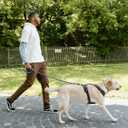 Chain Dog Leash Chew Proof Metal Leash for Medium Large Dogs, Chain Link Dog Anti Chew 5.2FT / 4FT Strong Anti Bite Comfortable Soft Padded Handle (Blue, 5FT(30-80lb)