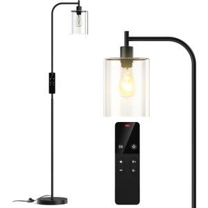 Wio-Mio Industrial Floor Lamp with Glass Shade, Modern Dimmable Floor lamp with Remote LED Bulbs, Tall Lamp for Living Room Corner, Bedroom, Office (Black)