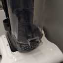 Amazon Basics Upright Bagless Vacuum Cleaner for Carpet and Hard Floors, Washable Filter, Crevice and Upholstery Tools, Detachable Handle, Lightweight, 1.7L Dust Cup, 25ft Cord, Black/White