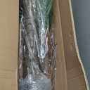 FloraFairy 6FT Artificial Coconut Palm, Faux Coconut Silk Palm Tree, Tropical Fake Trees for Indoor Outdoor, Large Sago Palm Plant for Home Office Garden Patio Poolside, 1 Pack