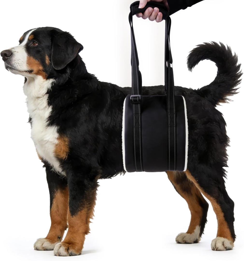 Dog Lift Harness, Adjustable Comfortable Dog Sling with Handle for Hind Leg Support Soft Lift Support and Rehab Harness for Weak Rear Legs, Helps Senior, Injured, Disabled and After ACL Surgery Dogs L